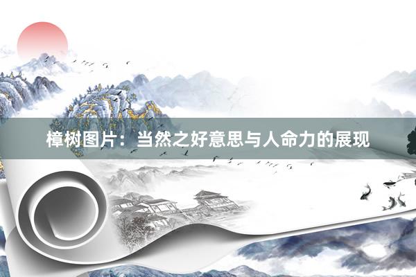 樟树图片：当然之好意思与人命力的展现