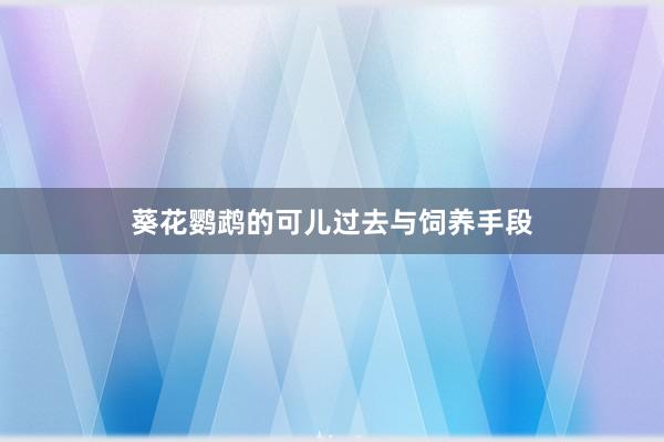 葵花鹦鹉的可儿过去与饲养手段