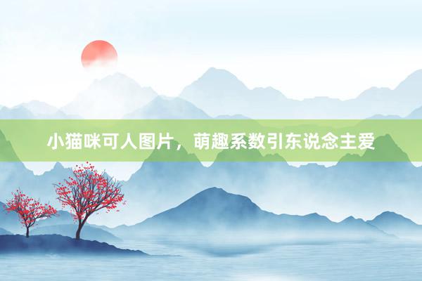 小猫咪可人图片，萌趣系数引东说念主爱