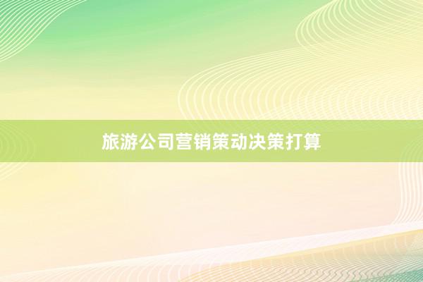 旅游公司营销策动决策打算